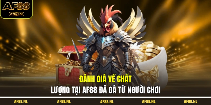 danh-gia-ve-chat-luong-tai-af88-da-ga-tu-nguoi-choi