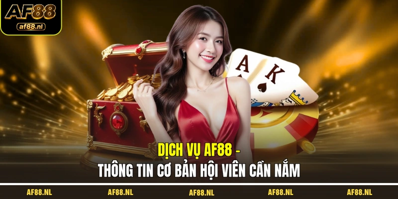 dich-vu-af88-thong-tin-co-ban-hoi-vien-can-nam
