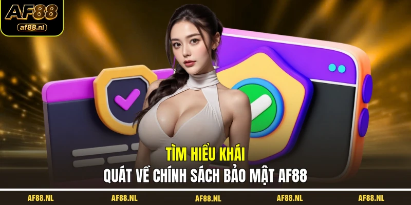tim-hieu-khai-quat-ve-chinh-sach-bao-mat-af88