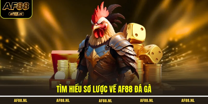 tim-hieu-so-luoc-ve-af88-da-ga