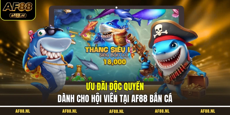 uu-dai-doc-quyen-danh-cho-hoi-vien-tai-af88-ban-ca